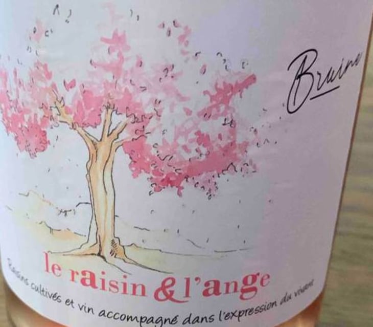 Bruine Rosé - Le Raisin et l'Ange - gilles-antonin-azzoni 