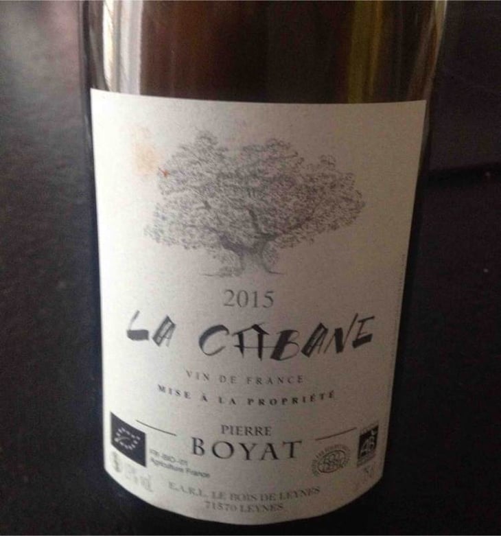 La Cabane - Pierre Boyat - pierre-boyat 