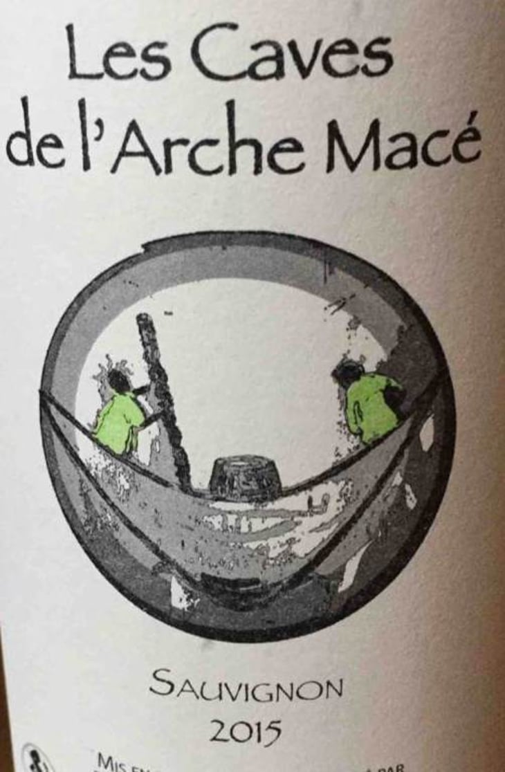 Sauvignon - Les Caves De L’Arche Macé - estelle-maitre-francois-saint-leger 