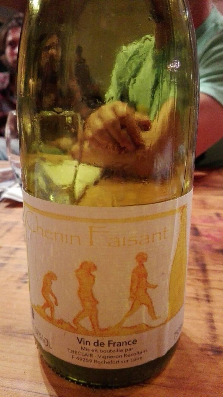 Chenin Faisant - La Cave Béclair - gildas-thierry-beclair 