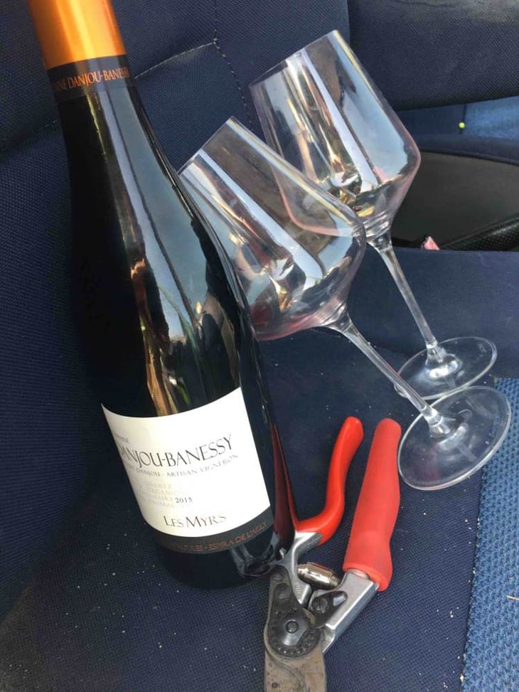 Les Myrs - Domaine Danjou-Banessy - benoit-sebastien-danjou 