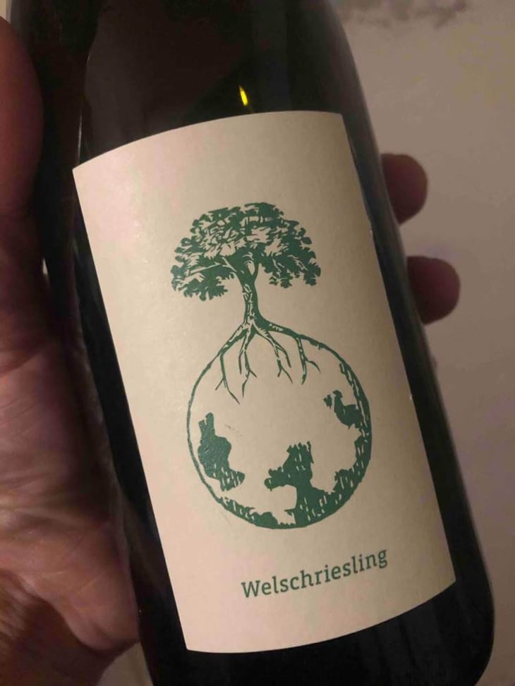 Welschriesling - Weingut Werlitsch - ewald-brigitte-tscheppe 