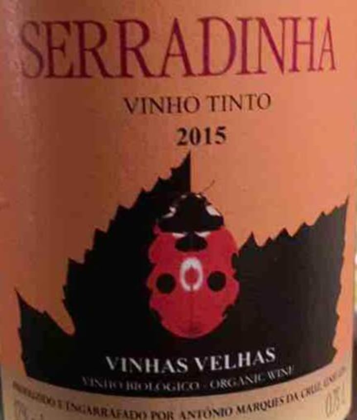 Vinhas Velhas - Quinta da Serradinha - antonio-marques-da-cruz 