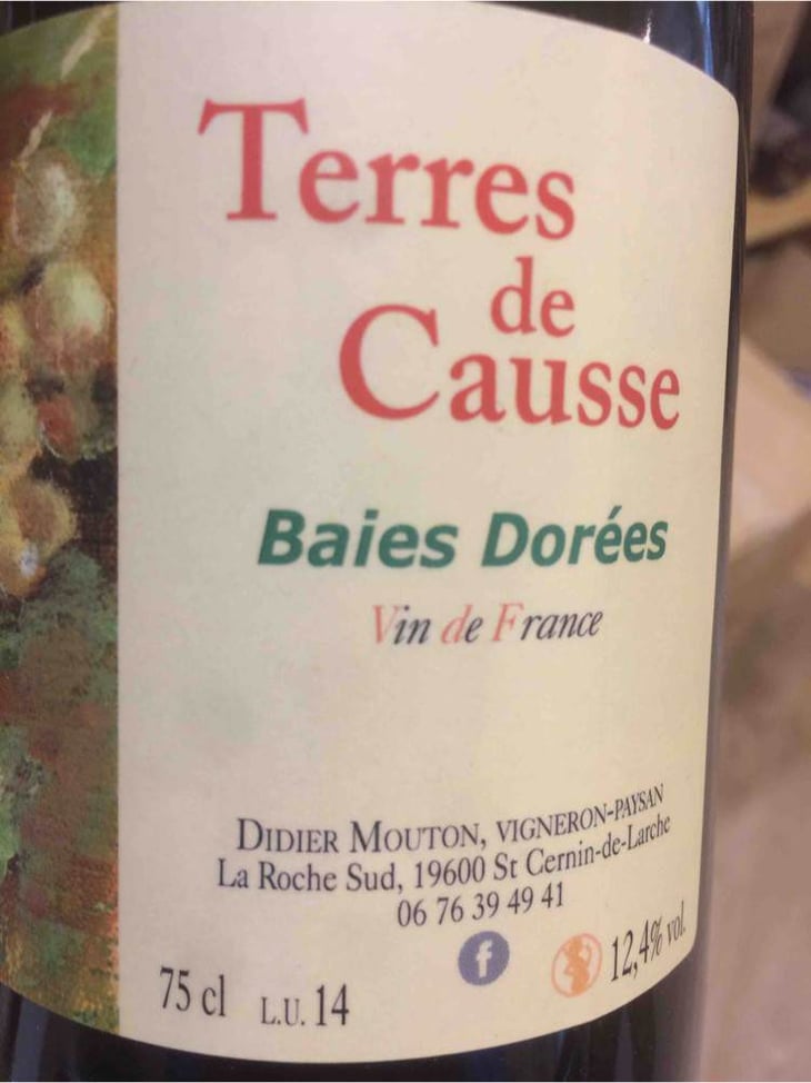 Baies Dorées - Terres de Causse - didier-mouton 
