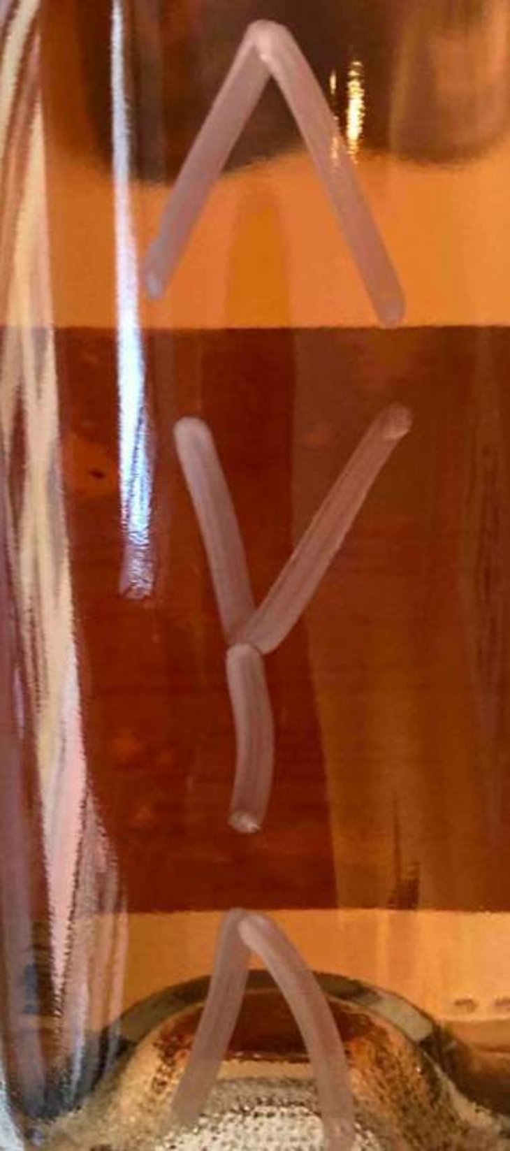 AYA Pet Nat - Ori Marani - bastien-warskotte-nino-gvantseladze -2020