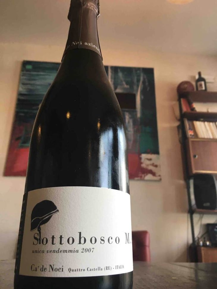 Sottobosco - Ca De Noci - alberto-giovanni-masini 