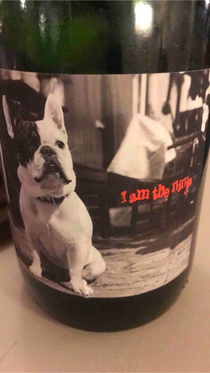 I Am The Ninja - Testalonga - craig-carla-hawkins 