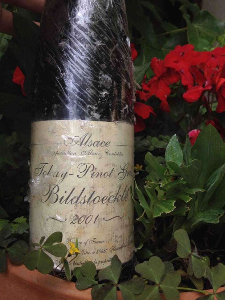Tokay - Pinot Gris Bildstoecklé - Gérard Schueller & Fils - bruno-schueller 