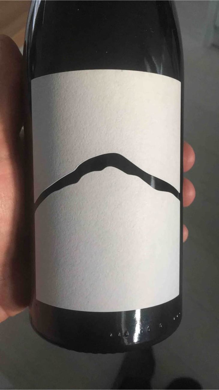 Welschriesling - Joiseph Weingut - richard-artner-xandl-kagl-luka-zeichmann 