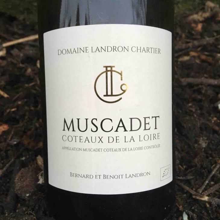 Muscadet Coteaux de la Loire - Domaine Landron-Chartier - bernard-francoise-benoit-landron 
