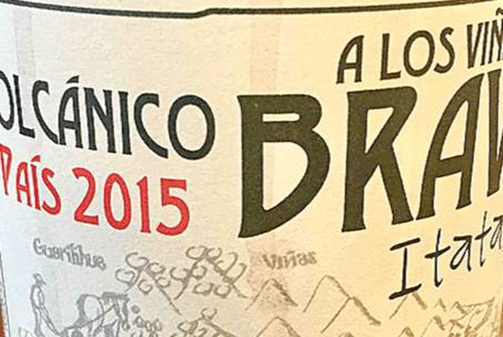 Volcánico País - A Los Viñateros Bravos / Onda Brava - leonardo-erazo 