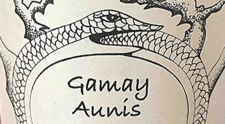 Gamay Aunis - Jean-Christophe Garnier - jean-christophe-garnier 
