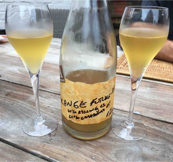 Orange Future Sekt - Vinařství Petr Koráb - petr-korab 