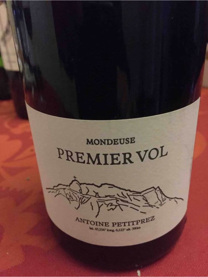 Premier Vol - Uliz - antoine-petitprez 