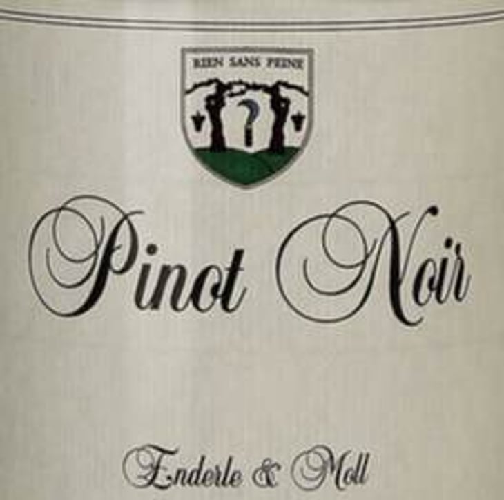 Pinot Noir - Enderle & Moll - florian-moll-max-lecat 