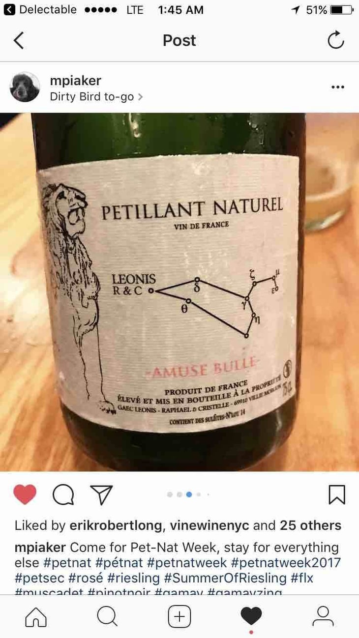 Amuse Bulle Petillant Naturel - Domaine Leonis - cristelle-raphael-champier 