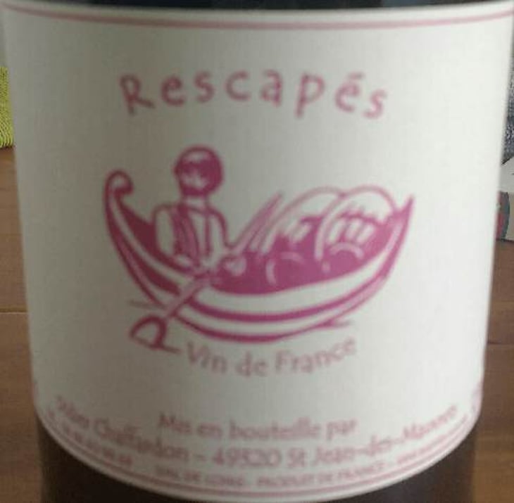 Rescapés - Didier Chaffardon - didier-chaffardon 