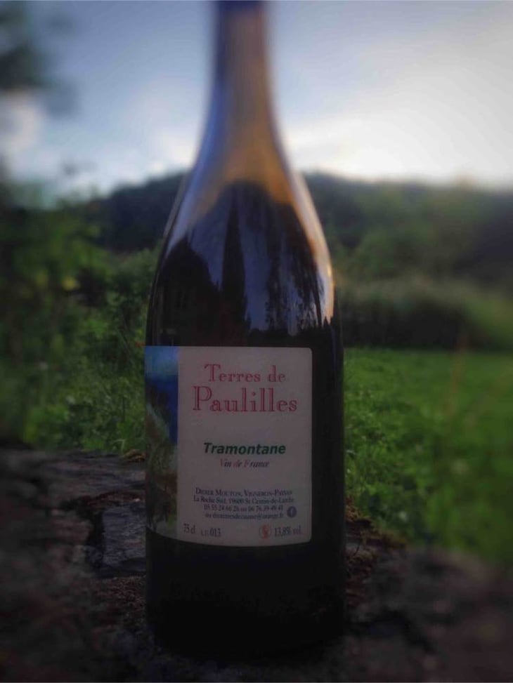 Tramontane - Terres de Causse - didier-mouton 