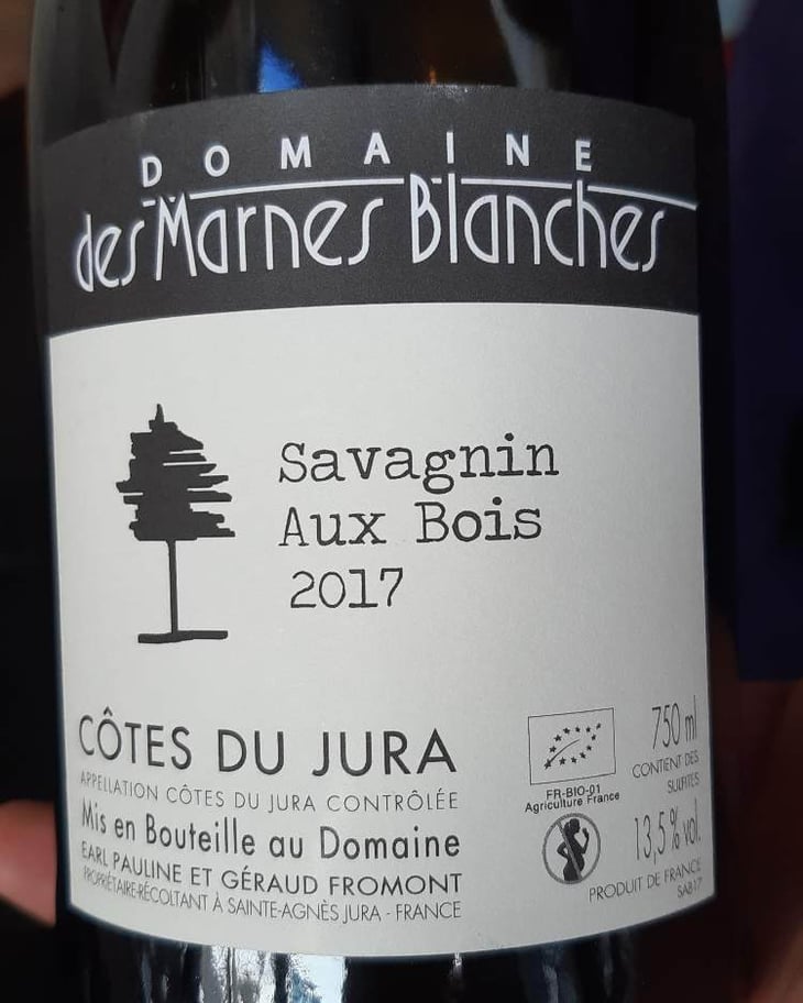 Aux Bois Savagnin - Domaine Des Marnes Blanches - pauline-geraud-fromont 