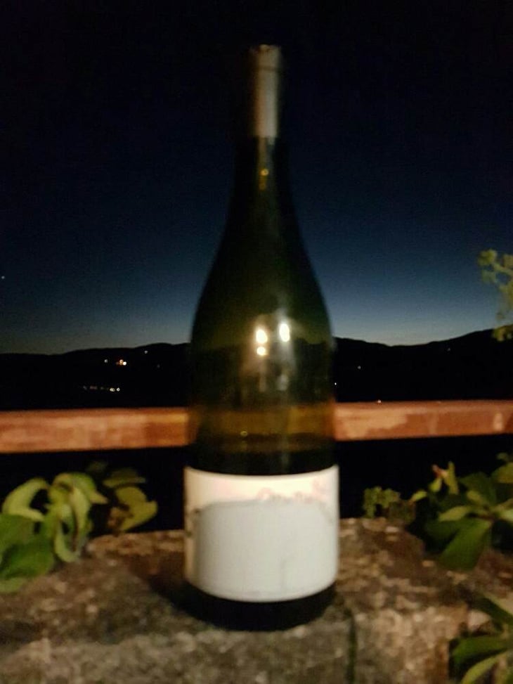 Minette - Francine & François Dhumes - francine-francois-dhumes 