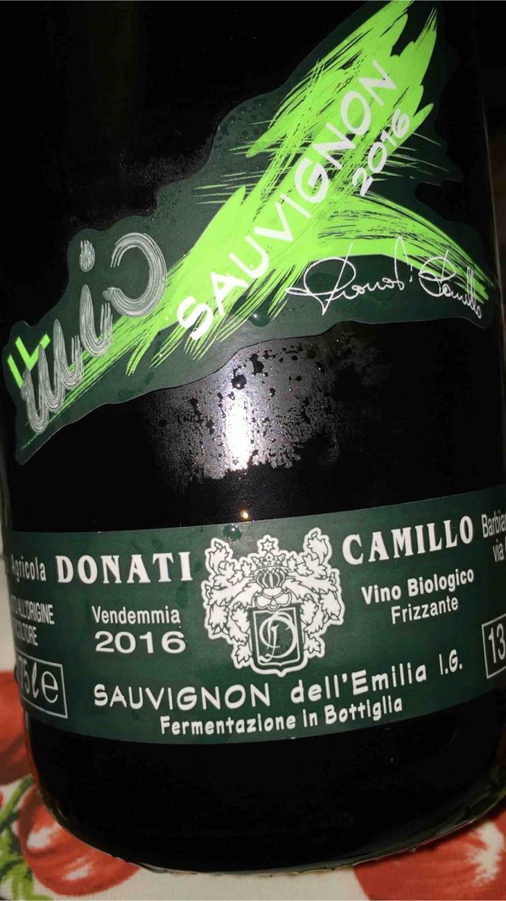 Il Mio Sauvignon - Camillo Donati - camillo-donati 