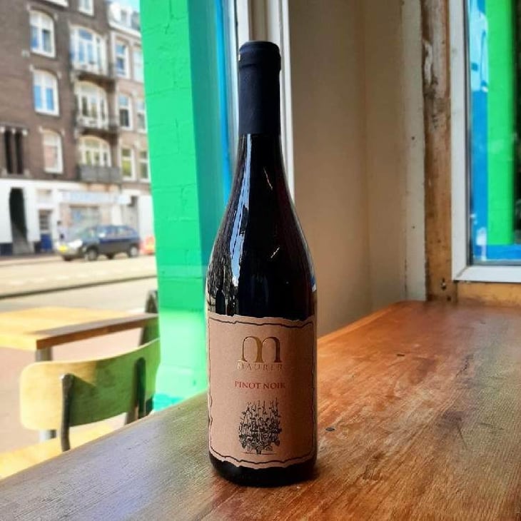 Pinot Noir - Maurer Winery - oszkar-maurer 