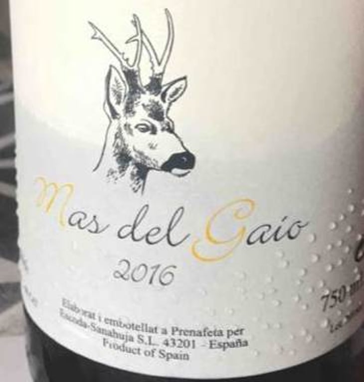 Mas del Gaio - Celler Escoda Sanahuja - joan-ramon-escoda-martinez 