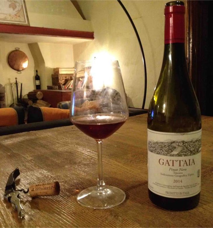 Gattaia Pinot Nero - Terre di Giotto - michele-lorenzetti 