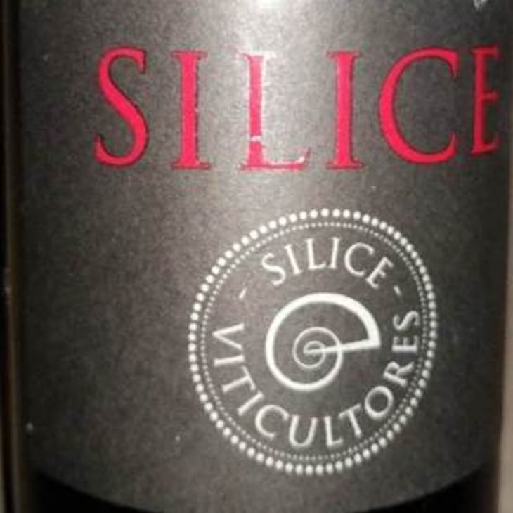 Silice - Sílice Viticultores - carlos-rodriguez-juan-rodriguez-fredi-torres 