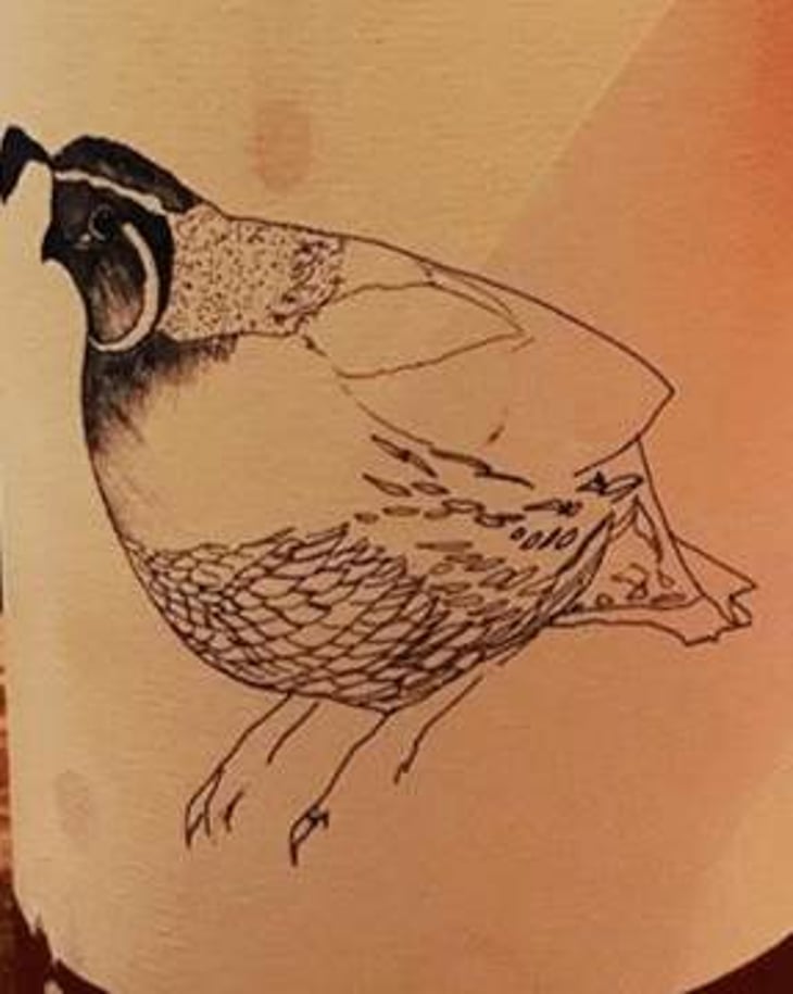 Grenache Rosé "Gris Gris" - Broc Cellars - chris-brockway 