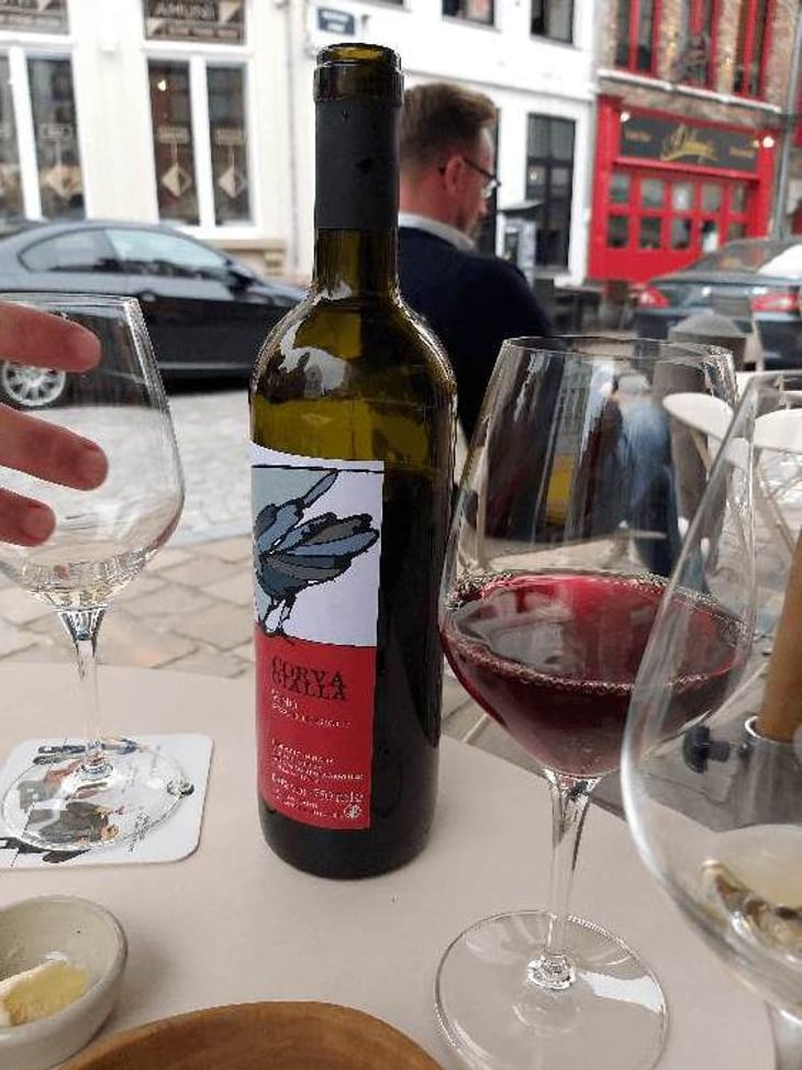 Rosso Delle Grotte - Azienda Agricola Corvagialla - beatrice-arweiler 