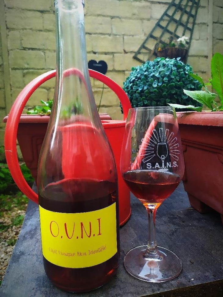 O.V.N.I - Vignobles Doulmet - Domaine Du Fils D'Eole - thierry-remy-doulmet 