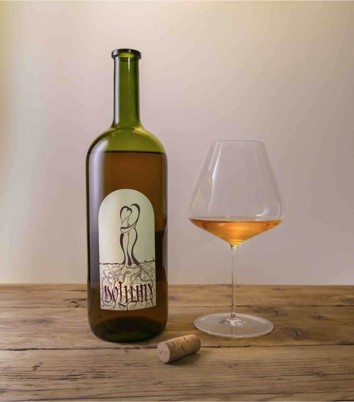 Sauvignon - Vinarstvo Zorjan - marija-bozidar-zorjan -2008