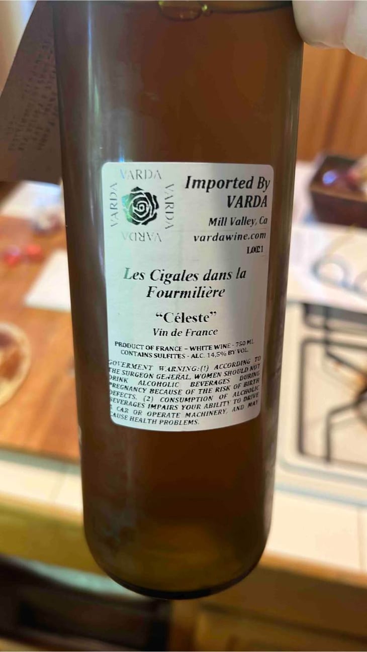 Les Cigales Dans La Fourmiliére - Les cigales dans la fourmilière - julie-brosselin-et-ivo-ferreira -2021