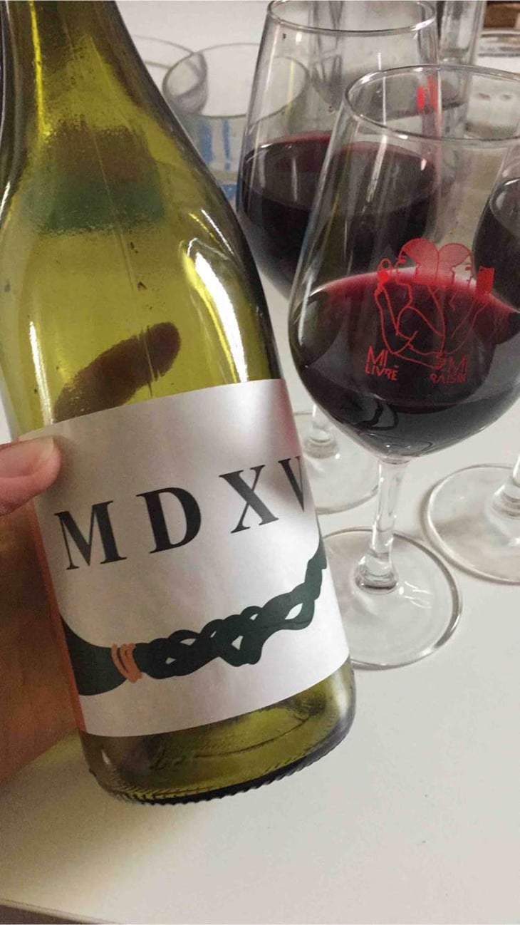 MDXV - Autour de l'Anne - anne-leclerc-paillet 