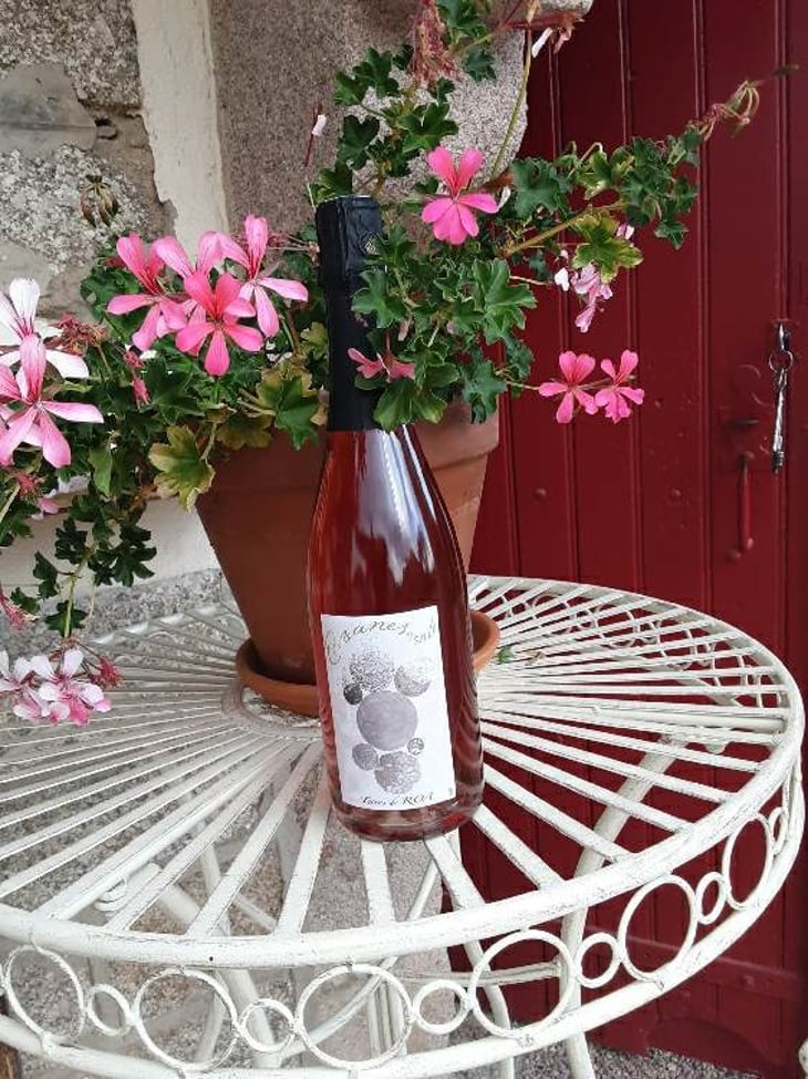 Cuvée Evanescente Rosé - Vignoble des Vernusses - loren-petit 