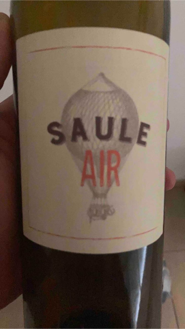 Saule Air - Domaine Les 3 Saules - francois-laborie 