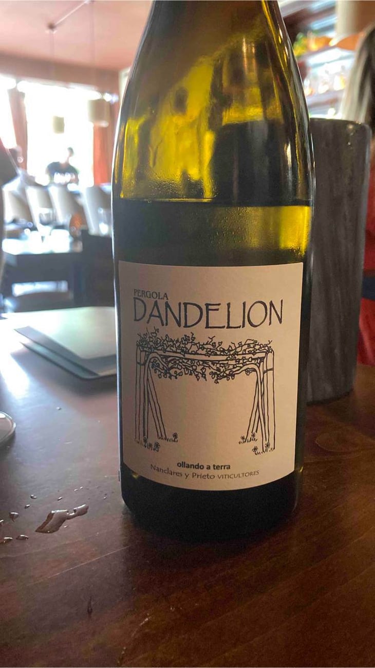 Dandelion - Nanclares y Prieto - alberto-nanclares-silvia-prieto -2021