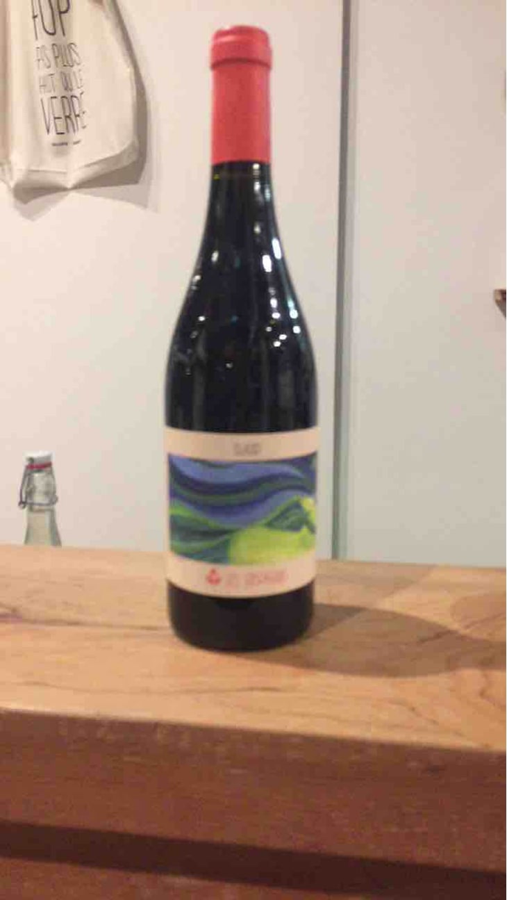 Djur - Domaine Les Abrigans - laura-lees-arthur-joly -2021