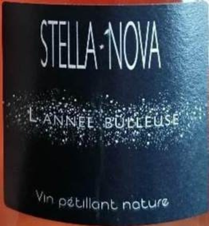 L'année Bulleuse - Stella Nova - philippe-richy 