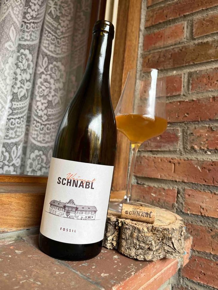 Fossil - Weingut Schnabl - karl-eva-schnabel -2017