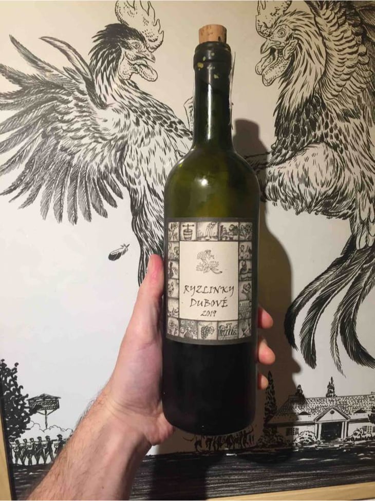 Ryzlinky Dubivé - Richard Stavek - richard-stavek 
