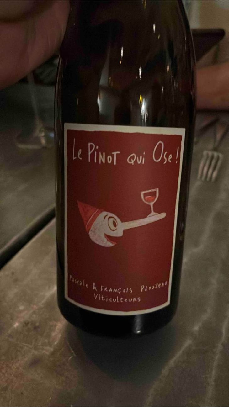 Le Pinot Qui Ose - Domaine de la Garreliére - pascale-francois-plouzeau 