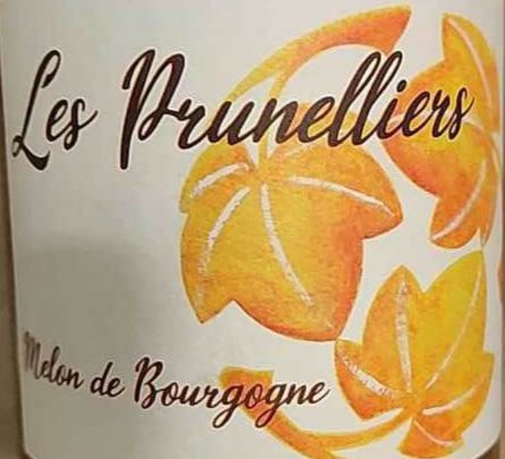 les prunelliers - Les Vins Jardinés - yoann-gillot 