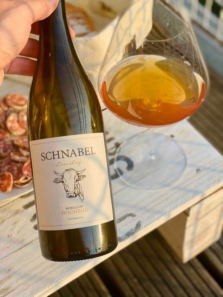 Morillon Hochegg - Weingut Karl Schnabel - karl-eva-schnabel 