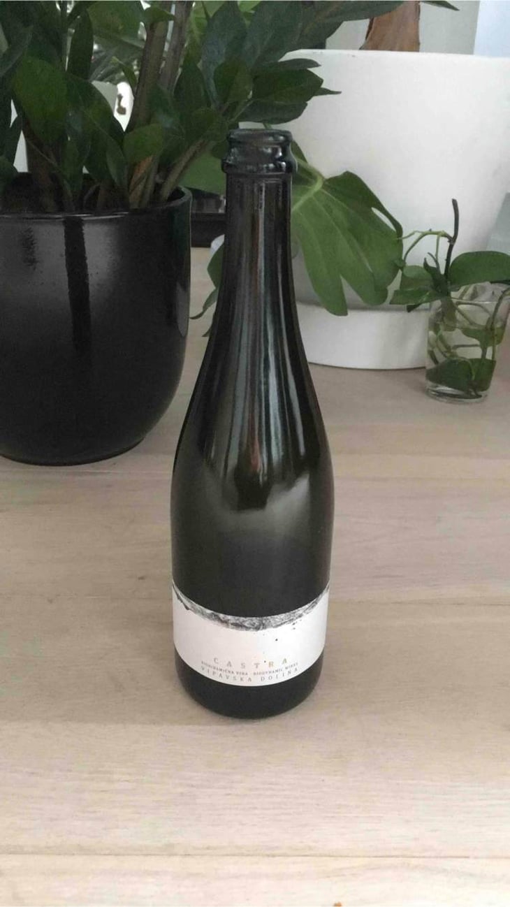 Castra Brut Nature - Organic farm Mlečnik - mlecnik-valter-and-klemen 