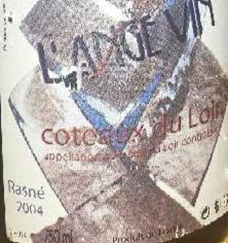 Rasné - Les Vignes de l'Angevin - jean-pierre-robinot 