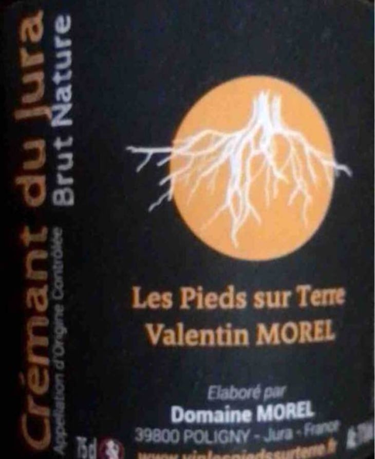 Crémant du Jura Brut Nature - Les Pieds Sur Terre - valentin-morel 