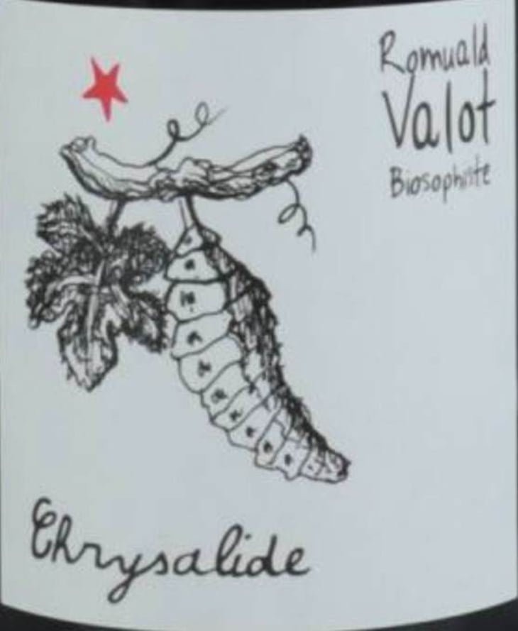 Chrysalide (Primeur) - Les Sauvageons - cosima-and-romuald-valot 