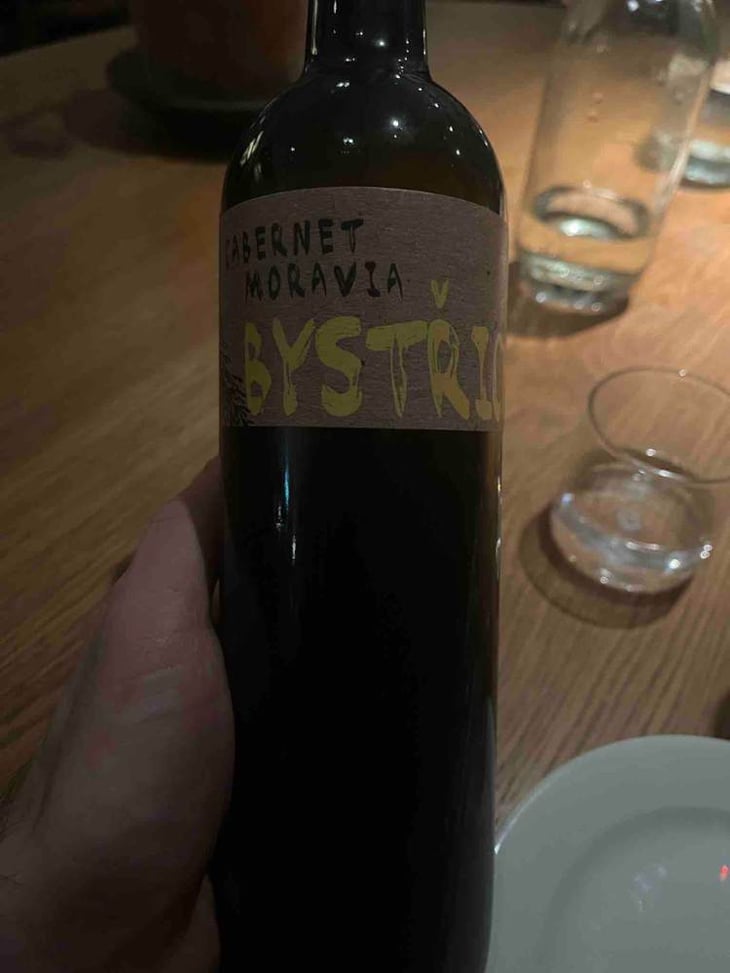 Cabernet Moravia - Vinařství Bystřický - vojta-anicka-bystricky -2018